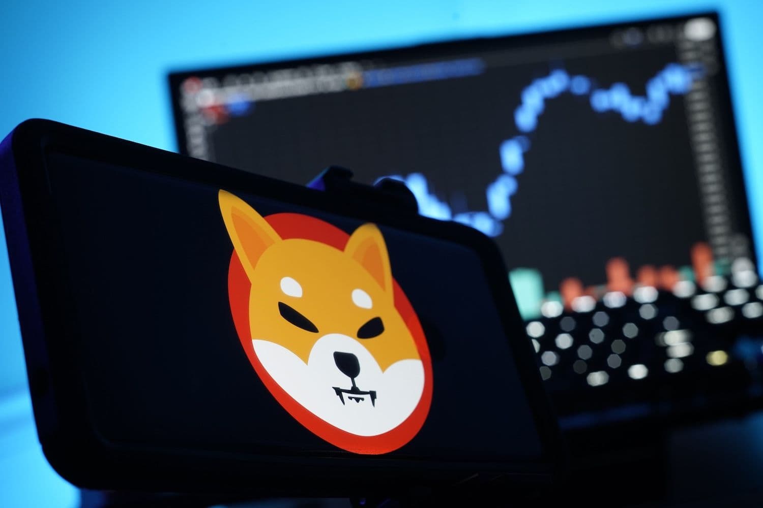 desktop-shib-burns-344m-tokens-as-coinbase-predicts-december-crypto-rally